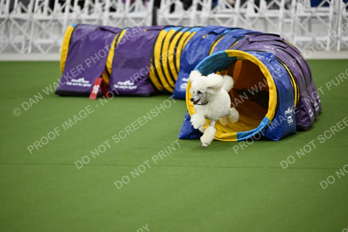 MAS-EX-JWW-12-Inch_1818