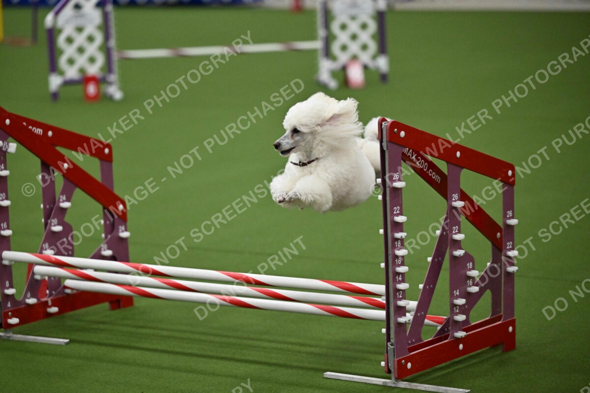 MAS-EX-JWW-12-Inch_1831