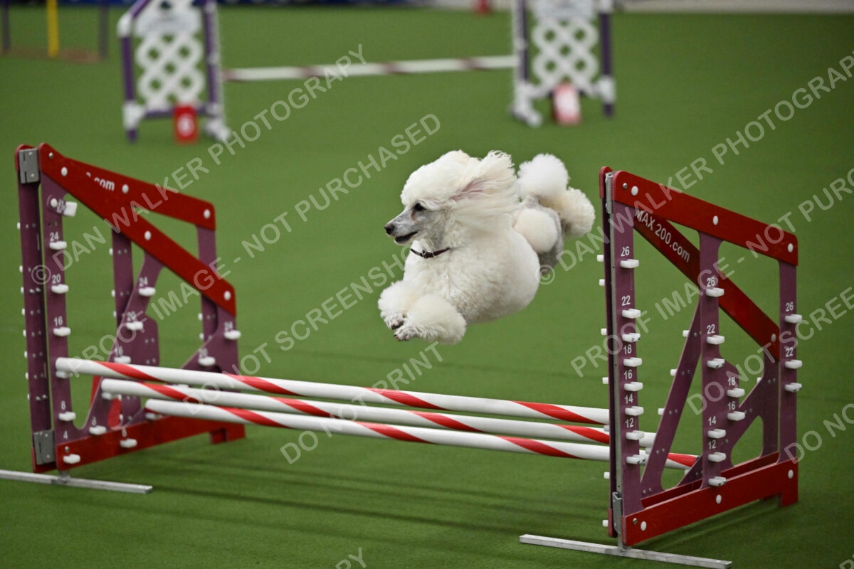 MAS-EX-JWW-12-Inch_1832