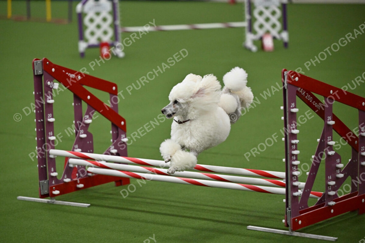 MAS-EX-JWW-12-Inch_1833