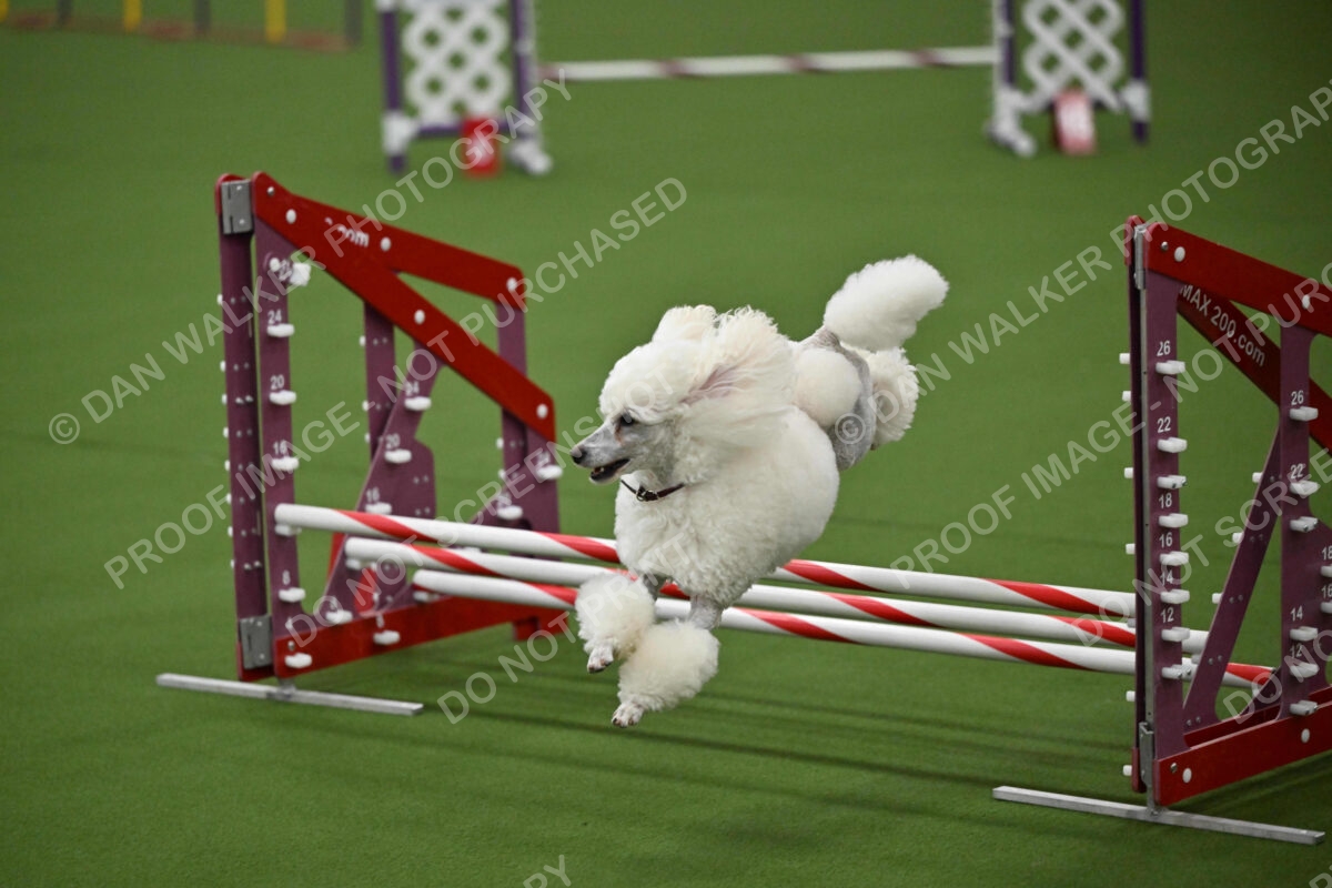 MAS-EX-JWW-12-Inch_1834