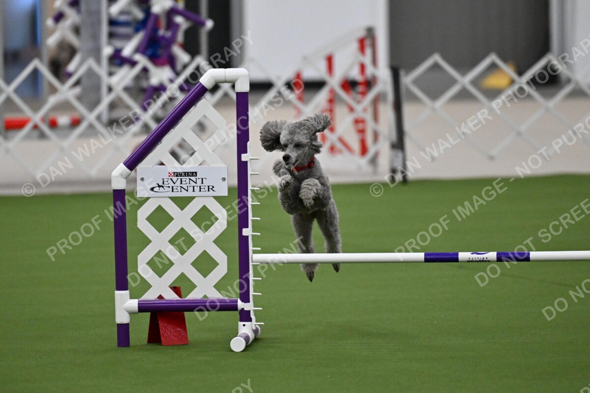 MAS-EX-JWW-12-Inch_1851