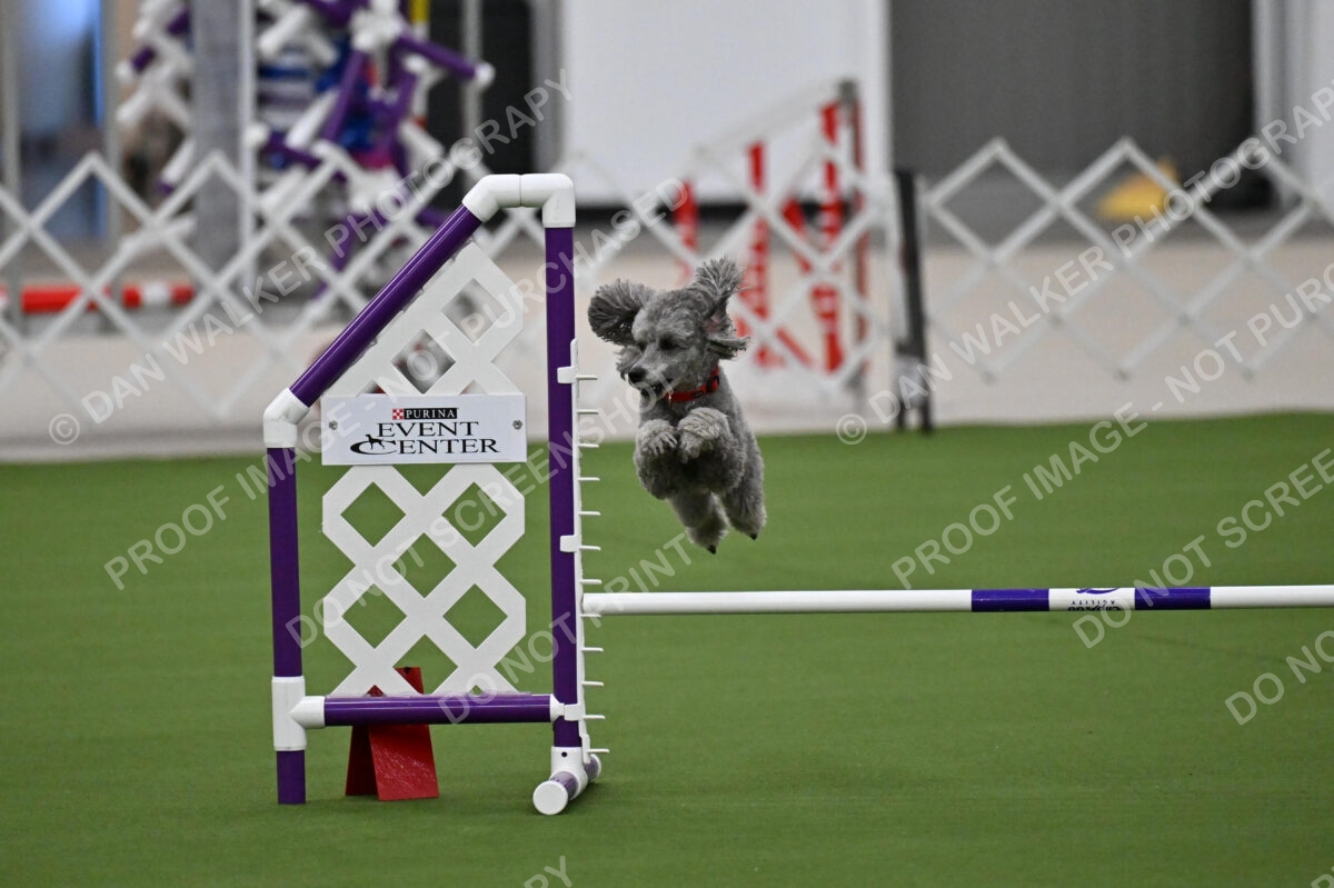 MAS-EX-JWW-12-Inch_1852