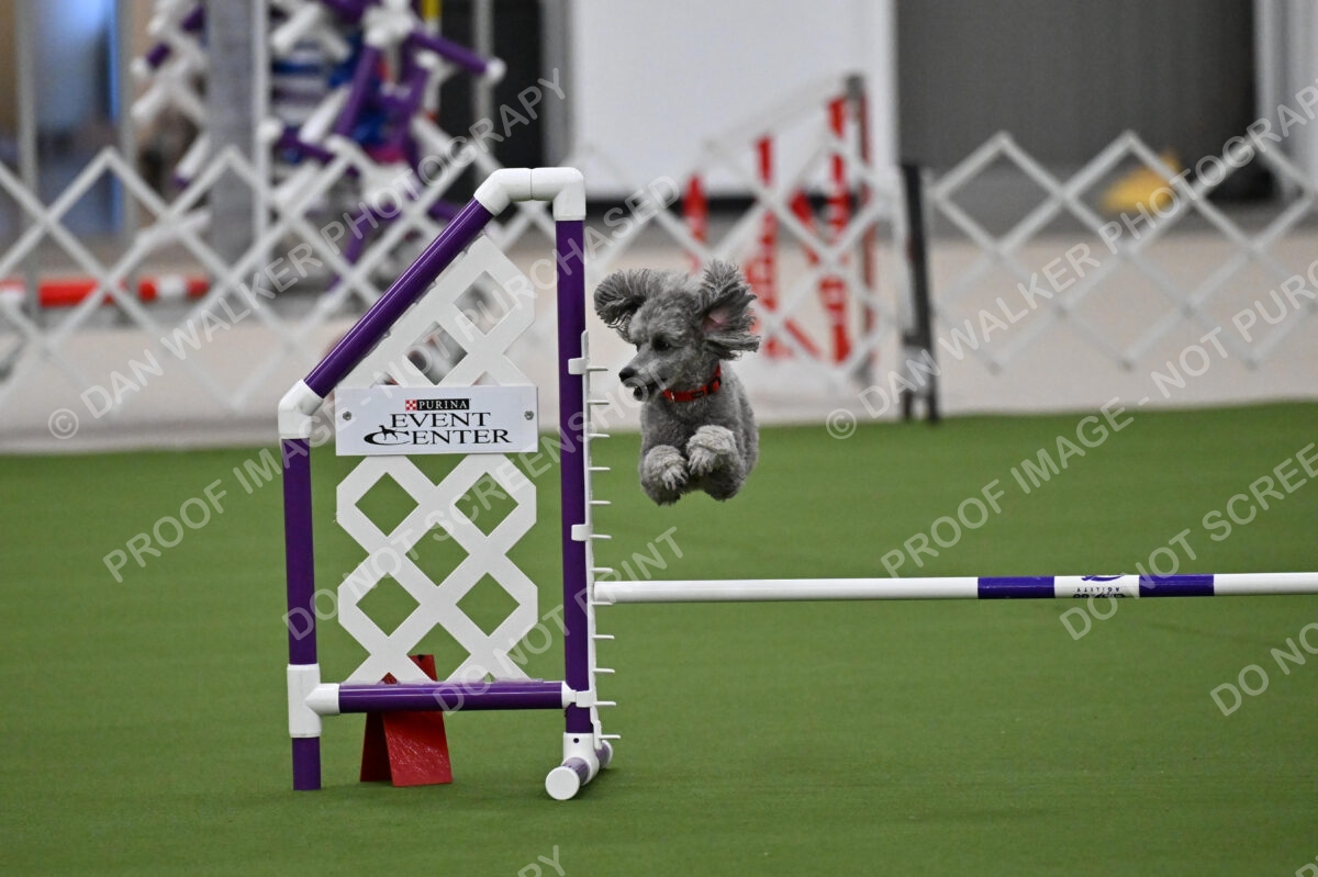 MAS-EX-JWW-12-Inch_1853