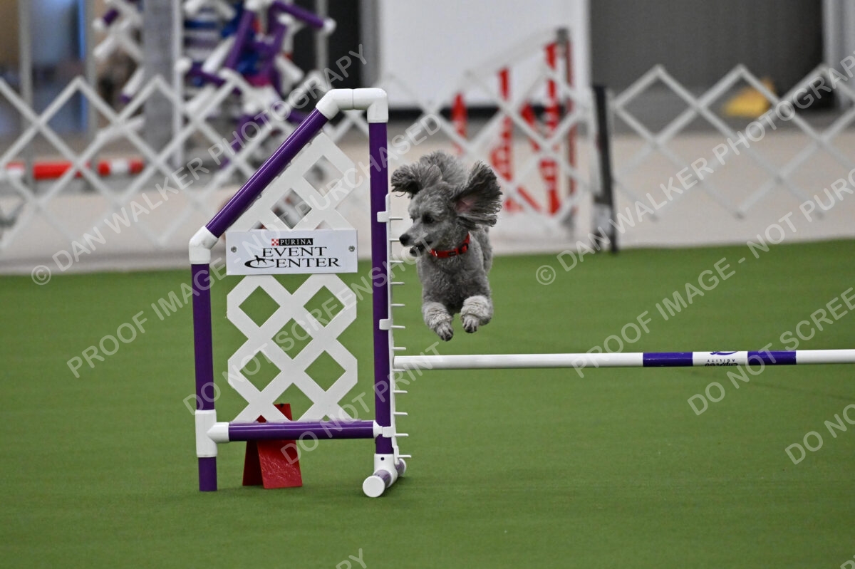 MAS-EX-JWW-12-Inch_1854