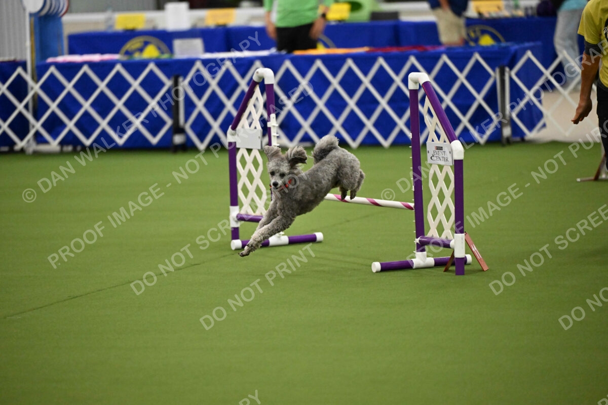 MAS-EX-JWW-12-Inch_1857