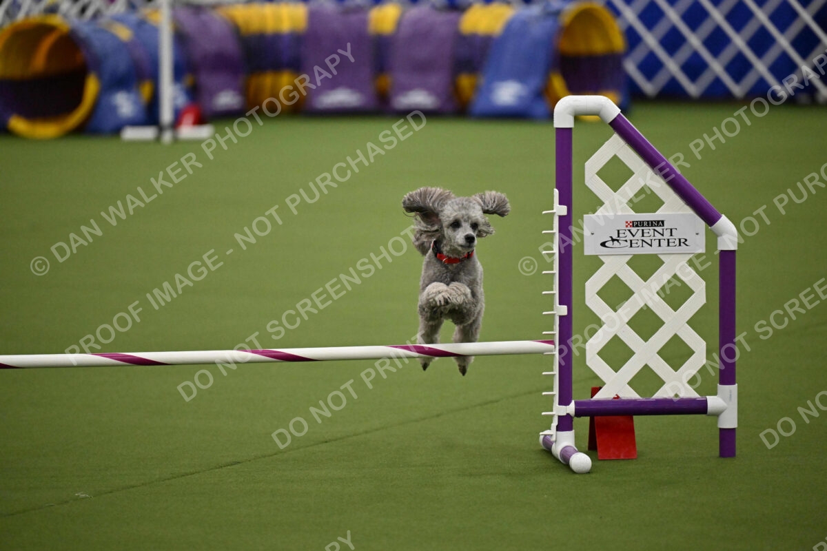 MAS-EX-JWW-12-Inch_1860