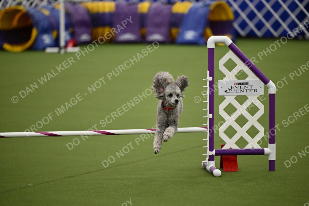 MAS-EX-JWW-12-Inch_1862