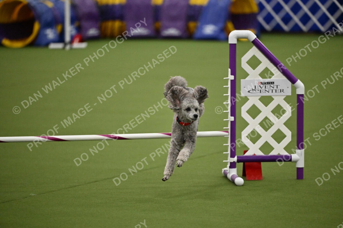 MAS-EX-JWW-12-Inch_1863