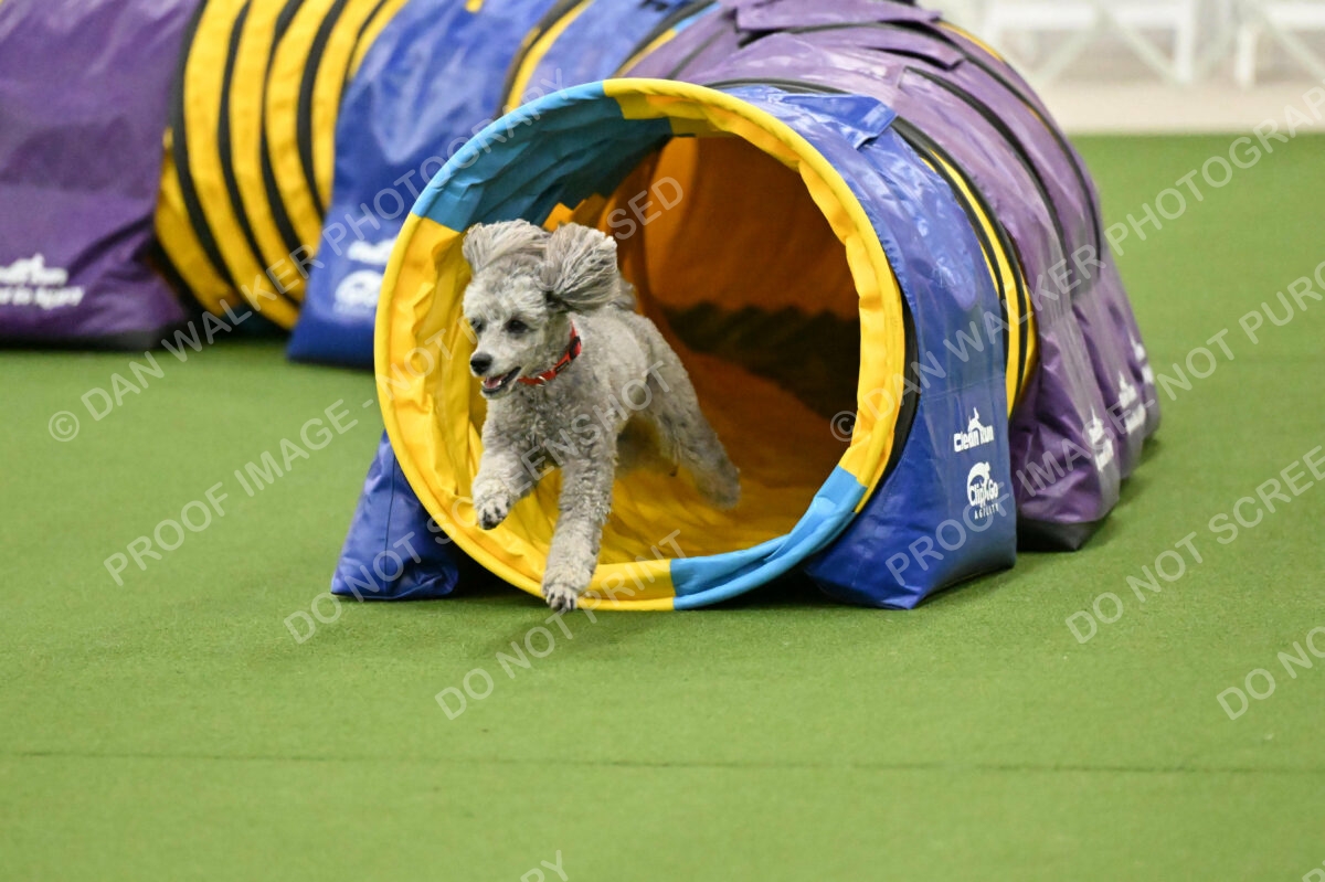 MAS-EX-JWW-12-Inch_1872