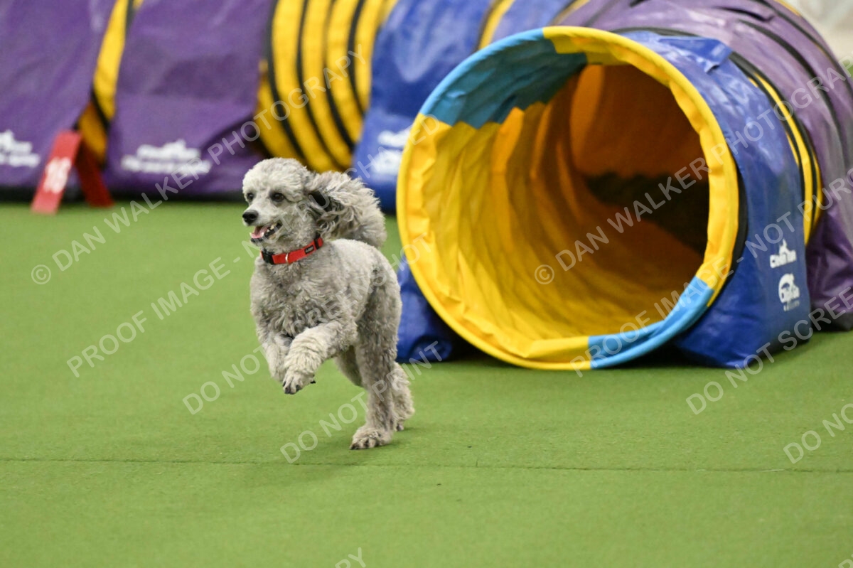 MAS-EX-JWW-12-Inch_1875