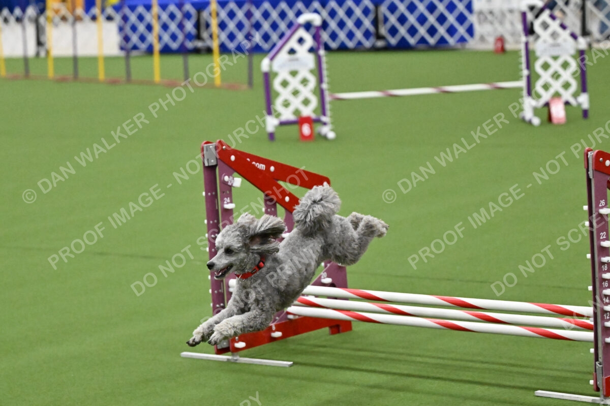 MAS-EX-JWW-12-Inch_1887