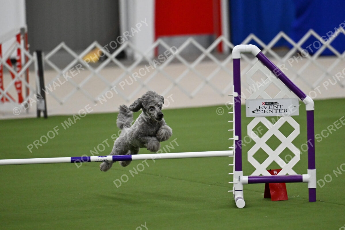 MAS-EX-JWW-12-Inch_1891