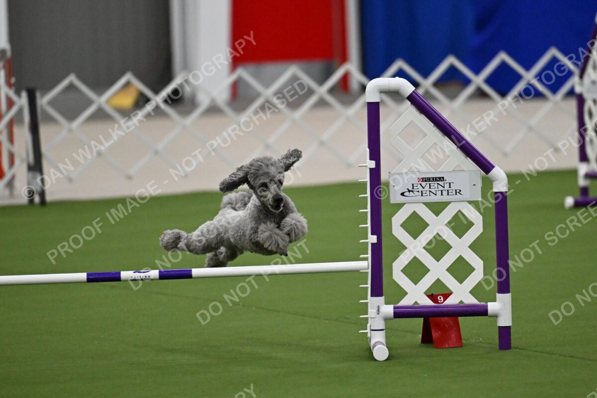 MAS-EX-JWW-12-Inch_1892