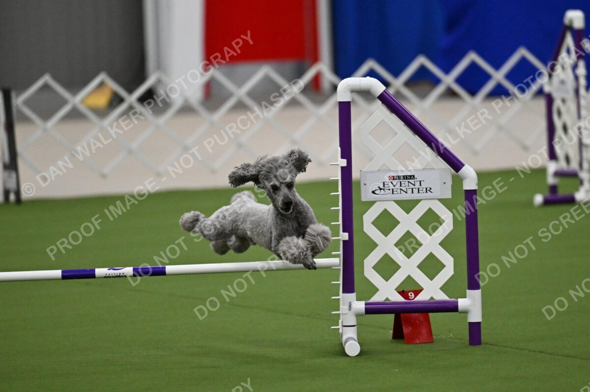 MAS-EX-JWW-12-Inch_1893