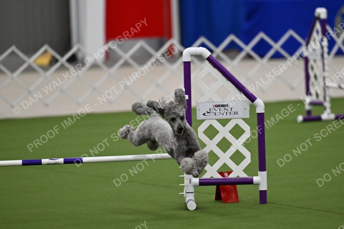 MAS-EX-JWW-12-Inch_1894