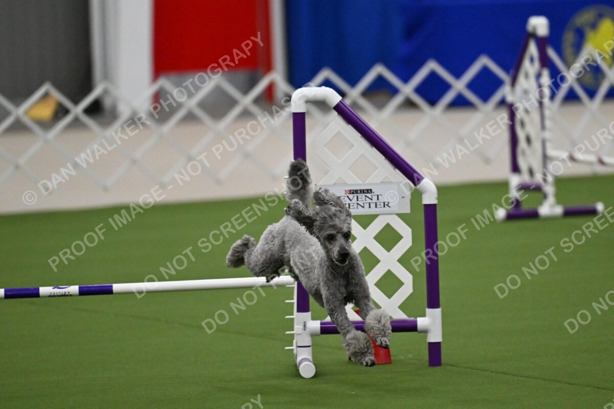 MAS-EX-JWW-12-Inch_1895