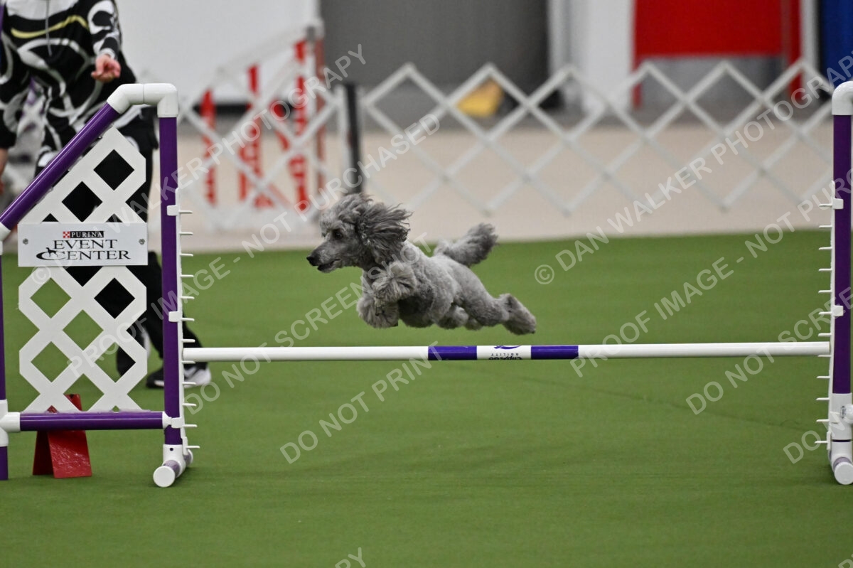 MAS-EX-JWW-12-Inch_1905