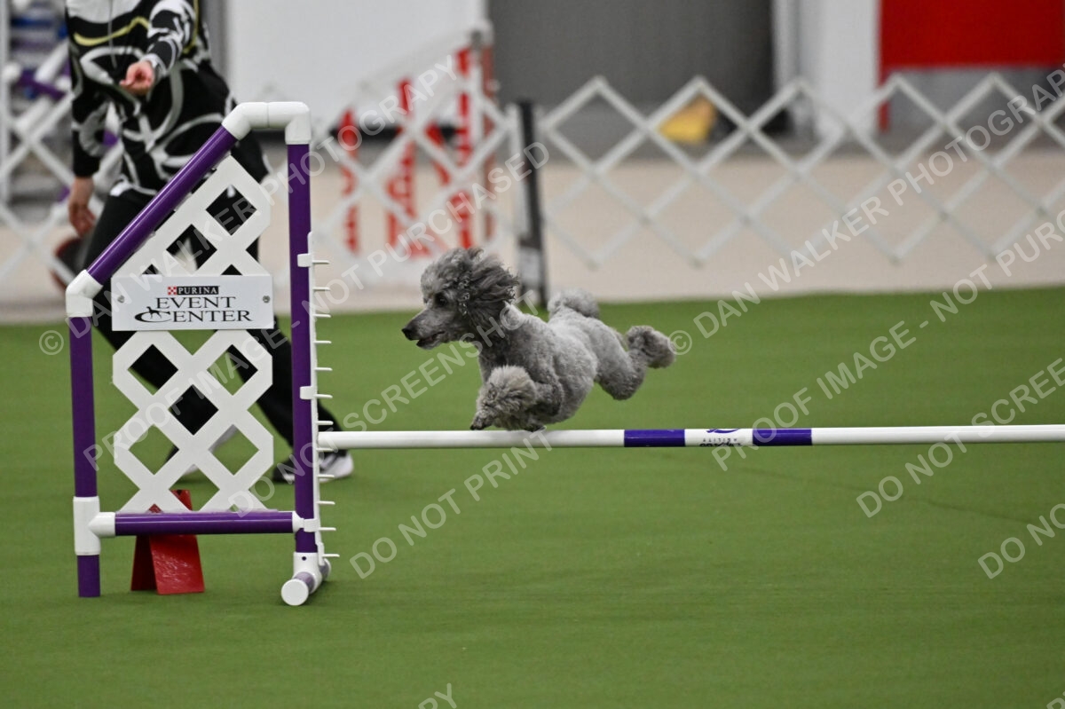 MAS-EX-JWW-12-Inch_1906