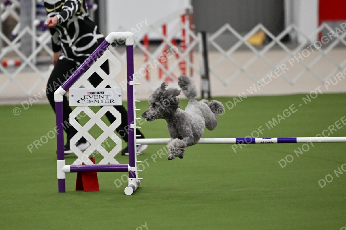 MAS-EX-JWW-12-Inch_1907