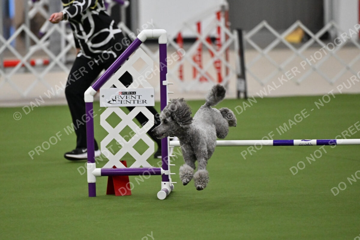 MAS-EX-JWW-12-Inch_1908