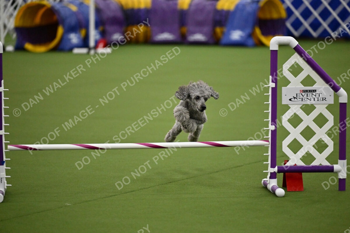 MAS-EX-JWW-12-Inch_1918