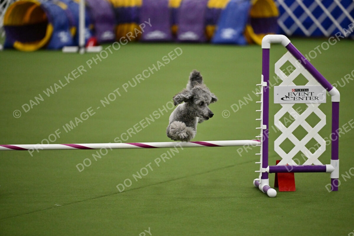 MAS-EX-JWW-12-Inch_1920