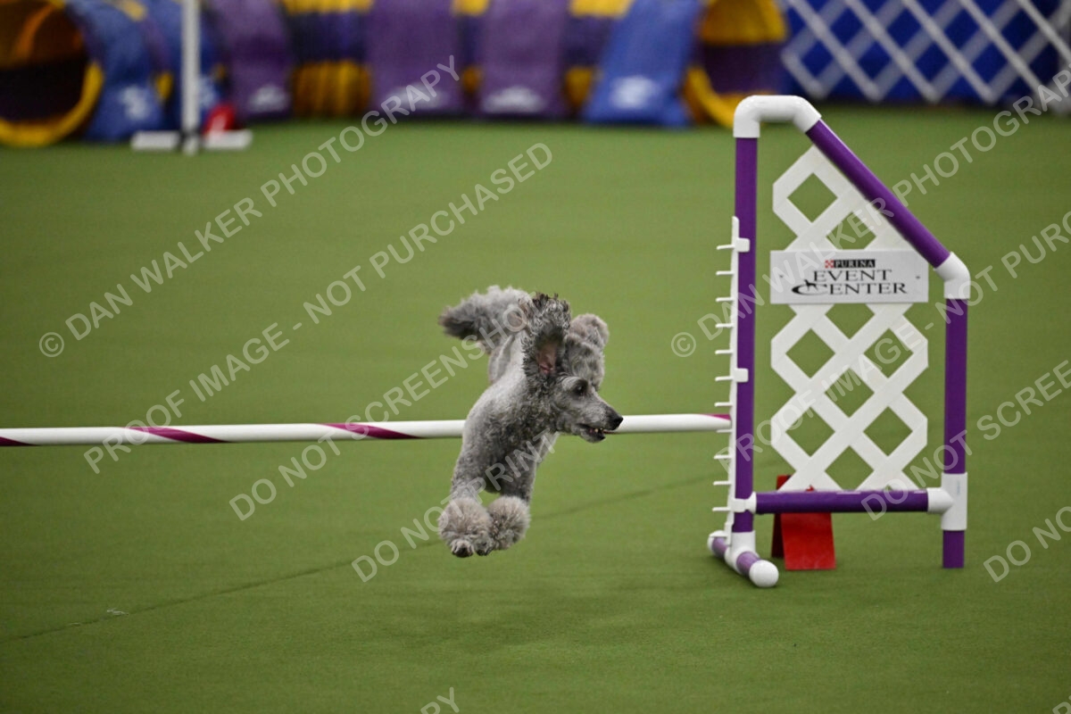 MAS-EX-JWW-12-Inch_1921