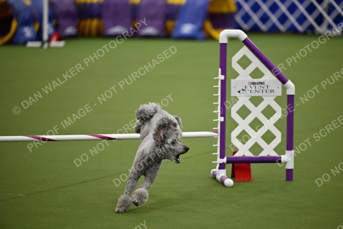 MAS-EX-JWW-12-Inch_1922