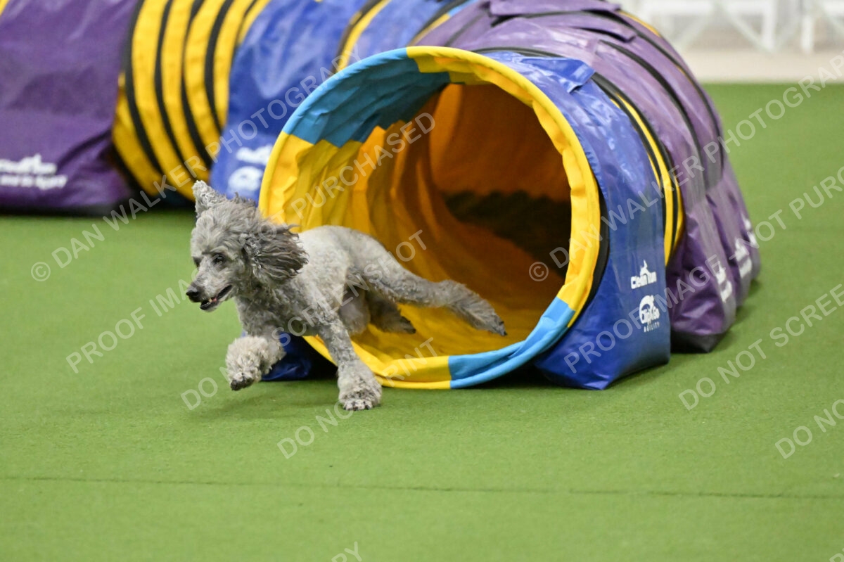 MAS-EX-JWW-12-Inch_1924