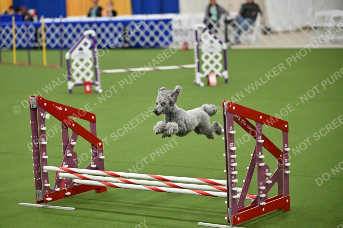 MAS-EX-JWW-12-Inch_1931