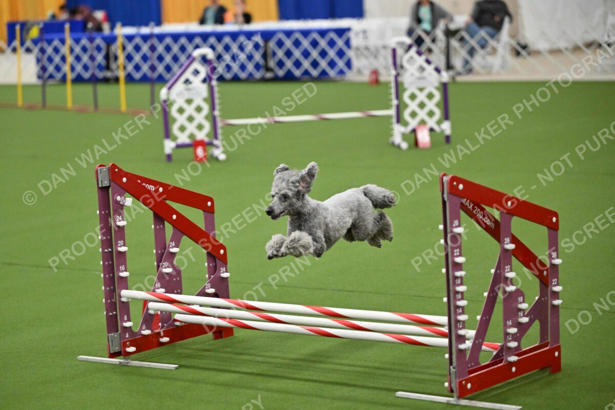 MAS-EX-JWW-12-Inch_1932