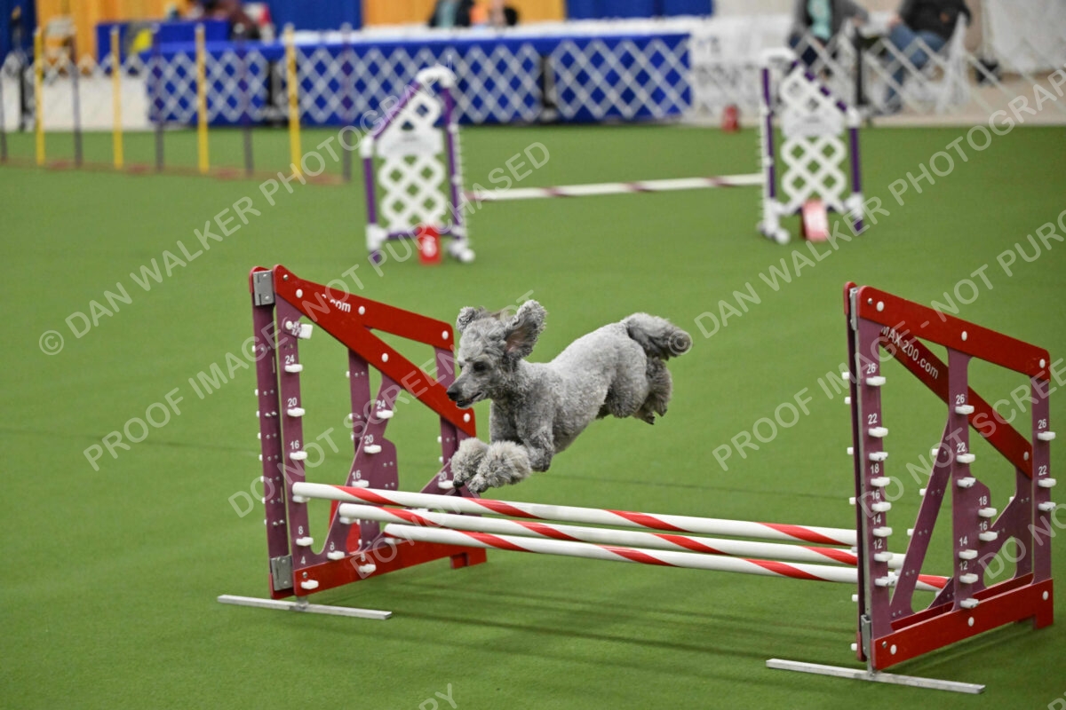 MAS-EX-JWW-12-Inch_1933