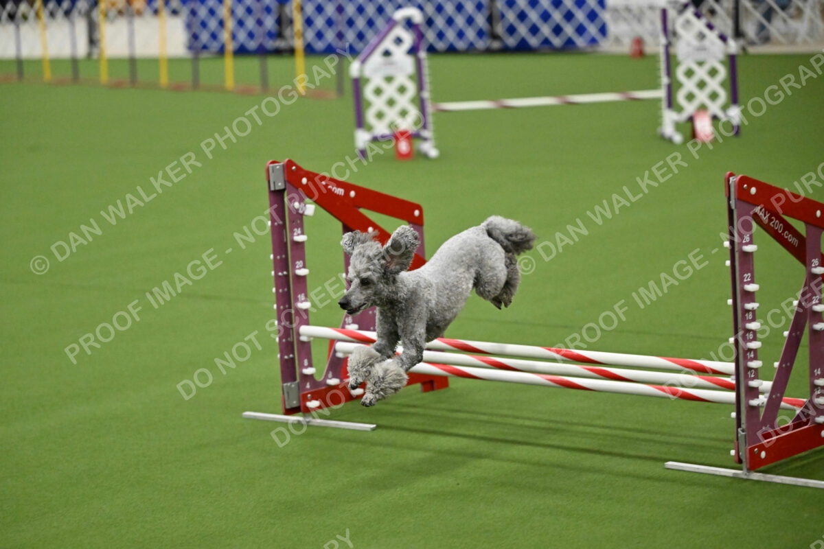 MAS-EX-JWW-12-Inch_1934