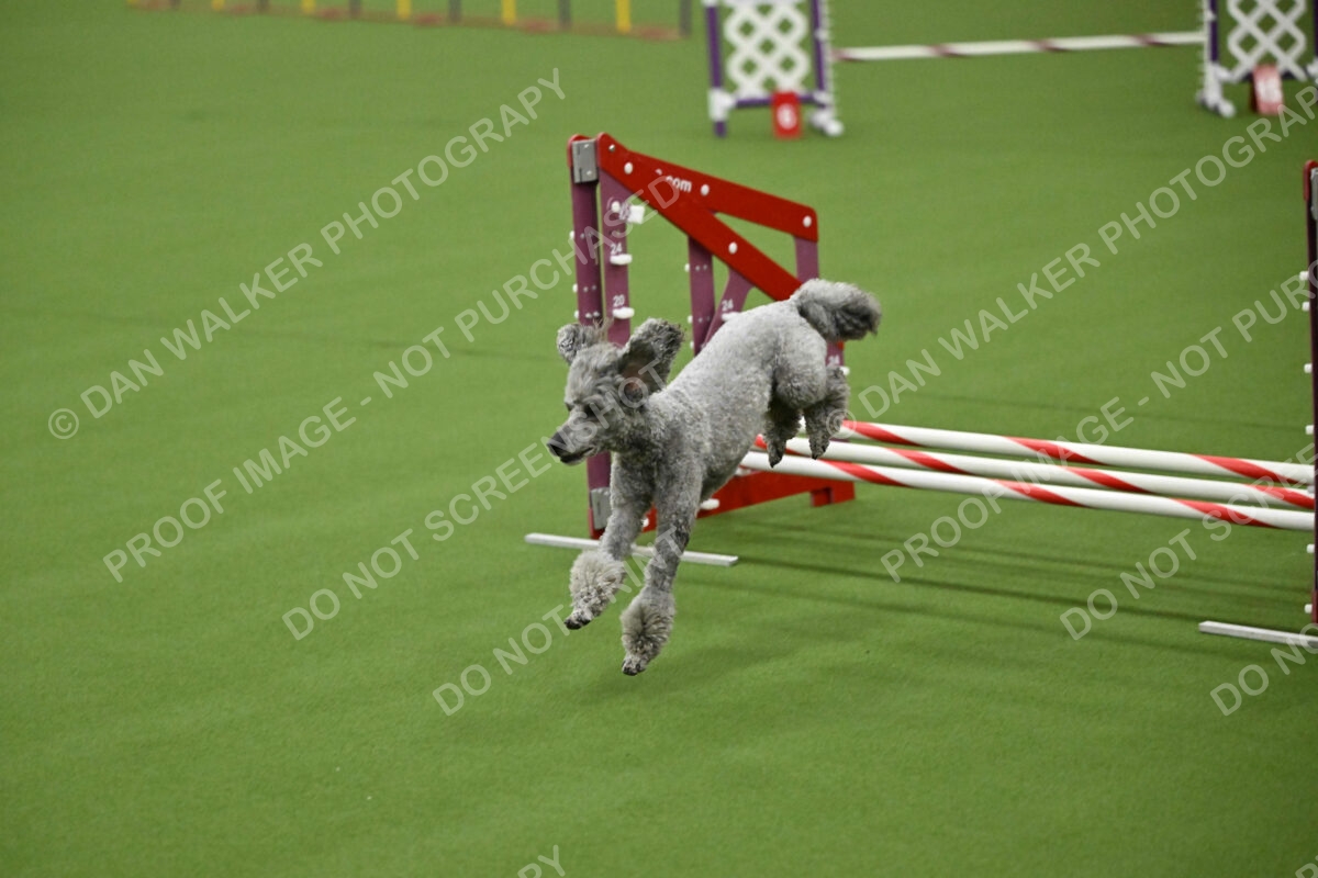 MAS-EX-JWW-12-Inch_1935