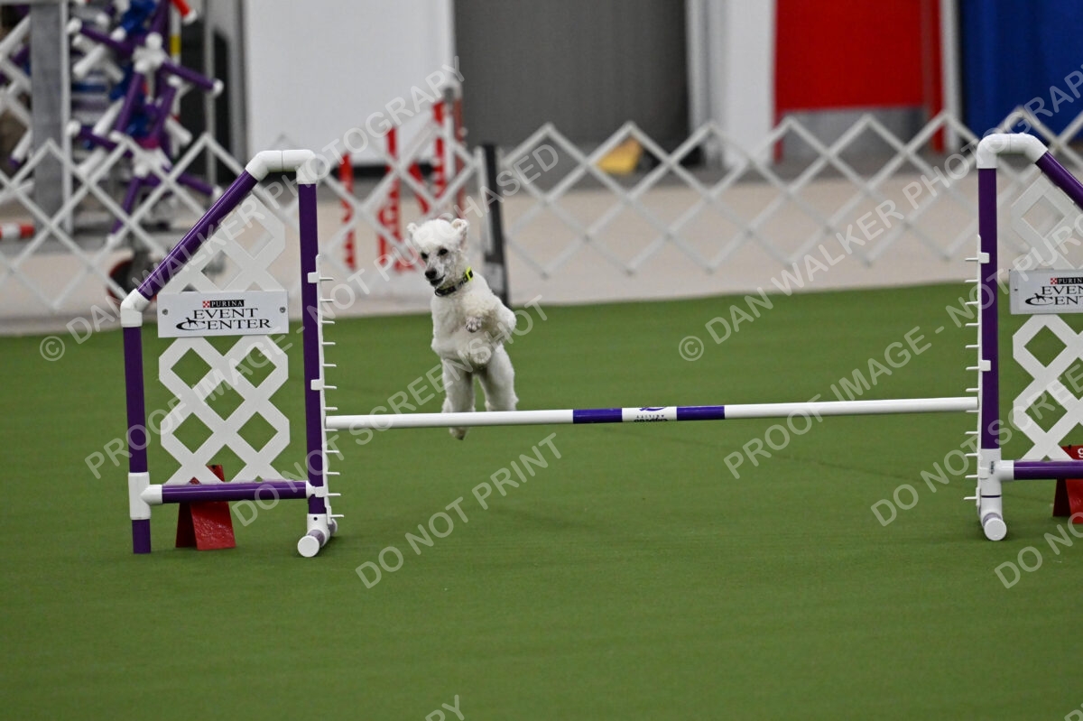 MAS-EX-JWW-12-Inch_1939