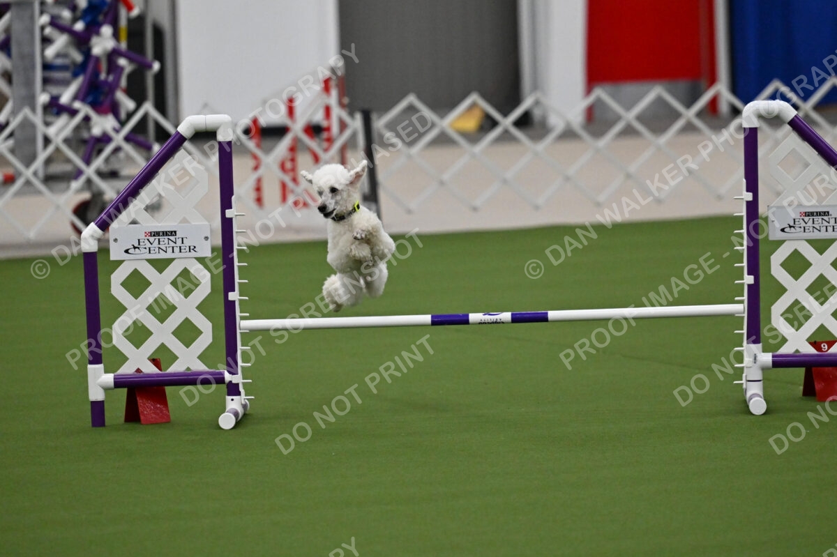 MAS-EX-JWW-12-Inch_1940