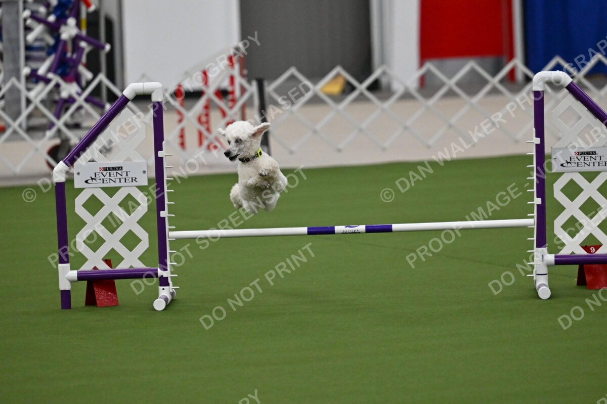 MAS-EX-JWW-12-Inch_1941