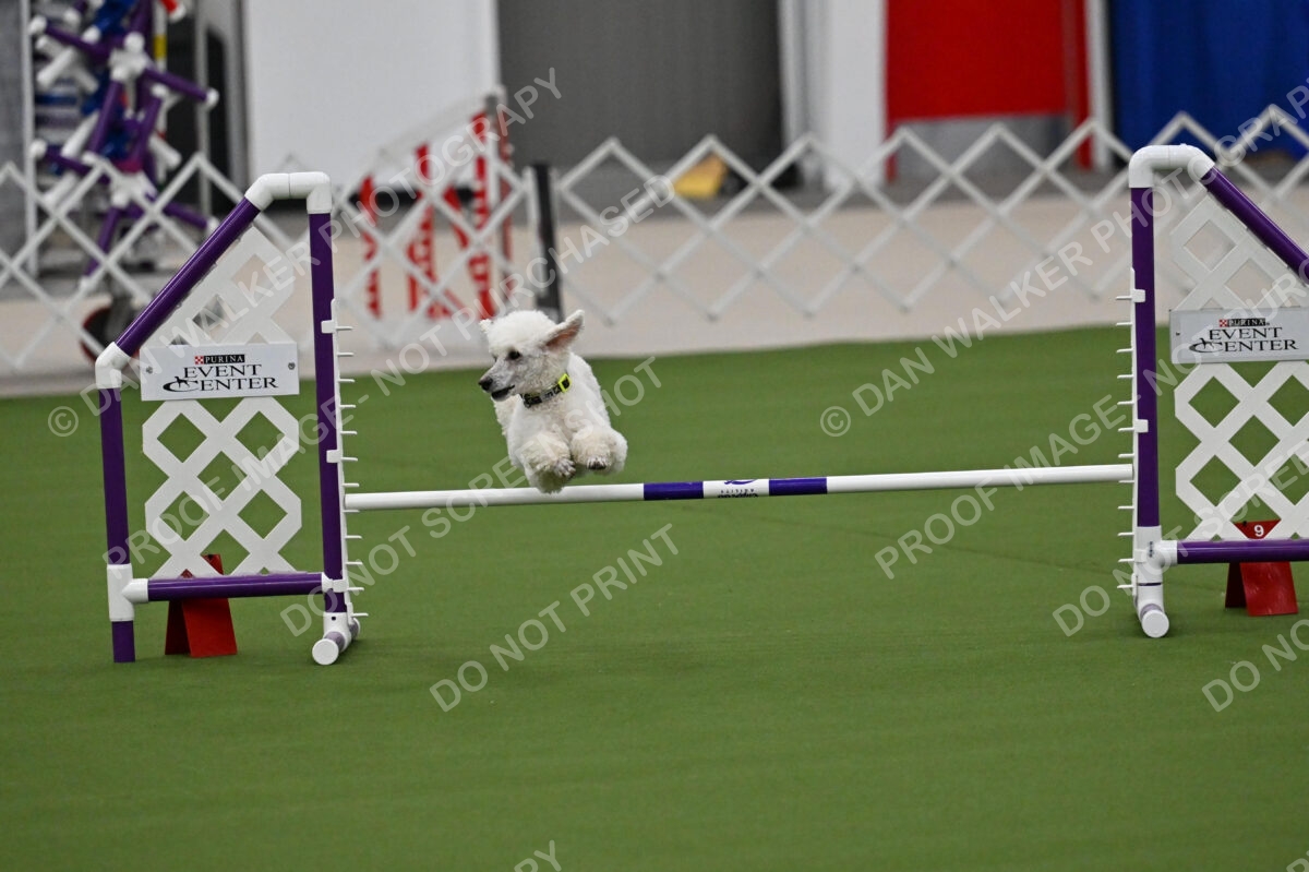 MAS-EX-JWW-12-Inch_1943