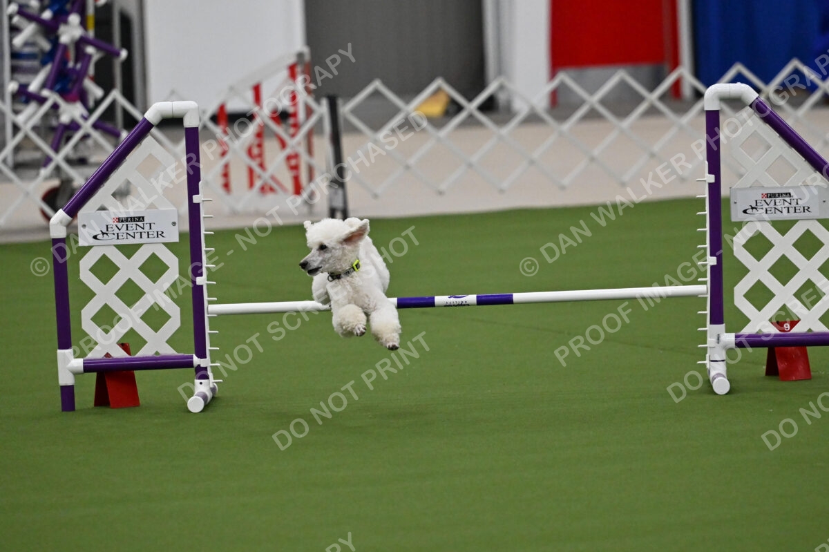 MAS-EX-JWW-12-Inch_1944