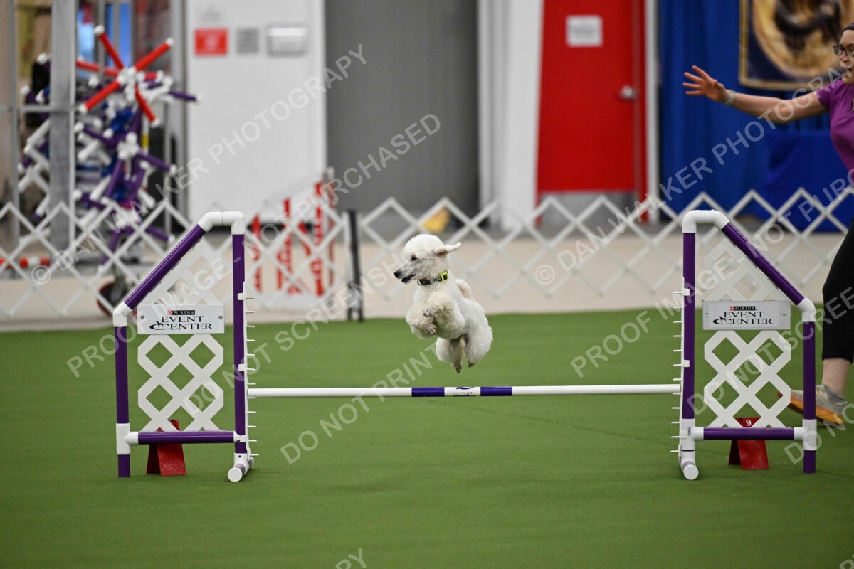 MAS-EX-JWW-12-Inch_1958