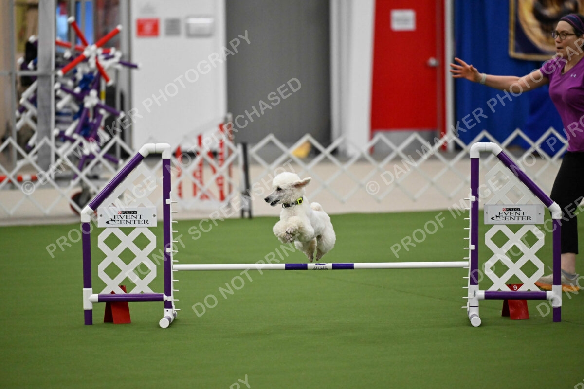 MAS-EX-JWW-12-Inch_1959