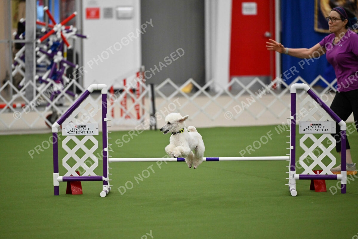 MAS-EX-JWW-12-Inch_1960