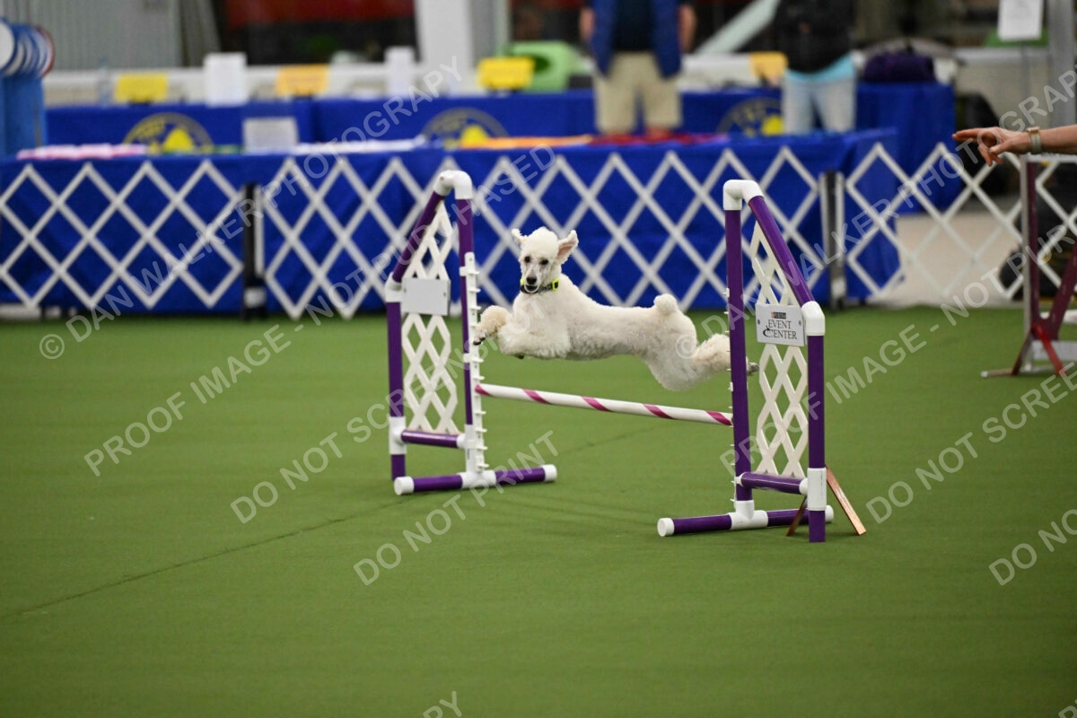 MAS-EX-JWW-12-Inch_1961