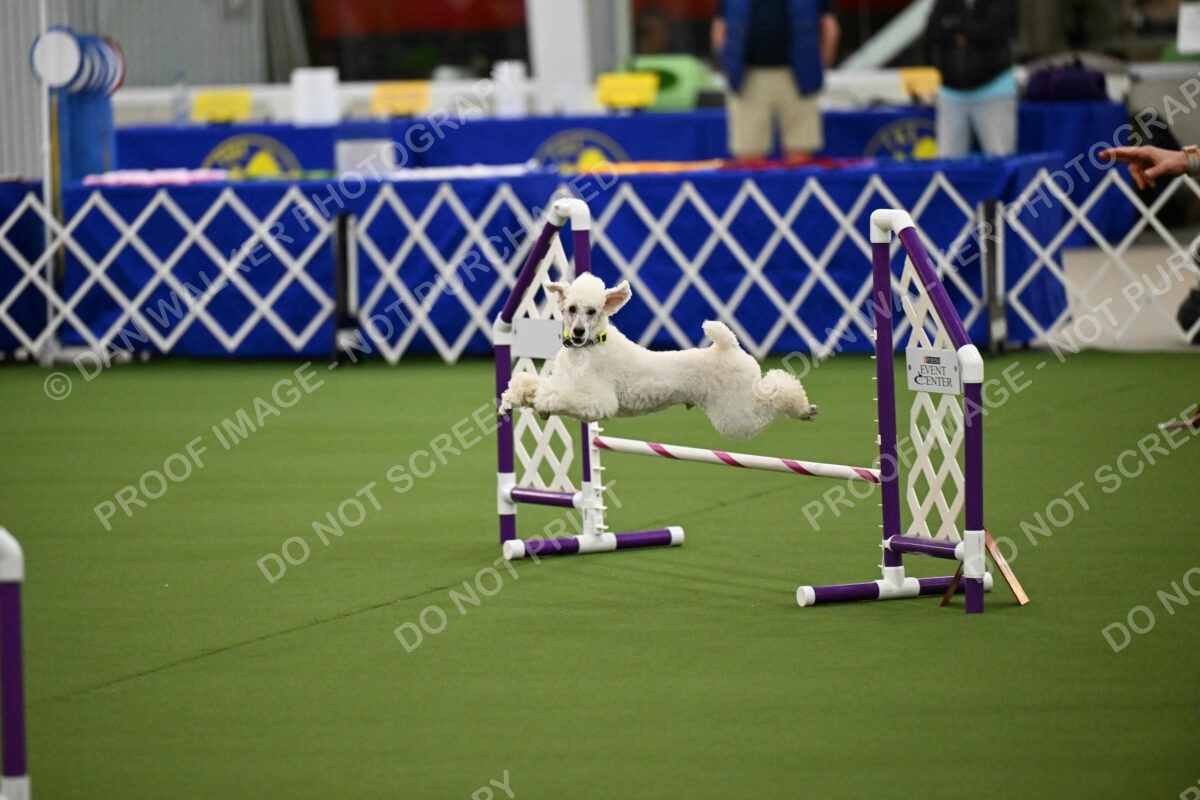 MAS-EX-JWW-12-Inch_1962