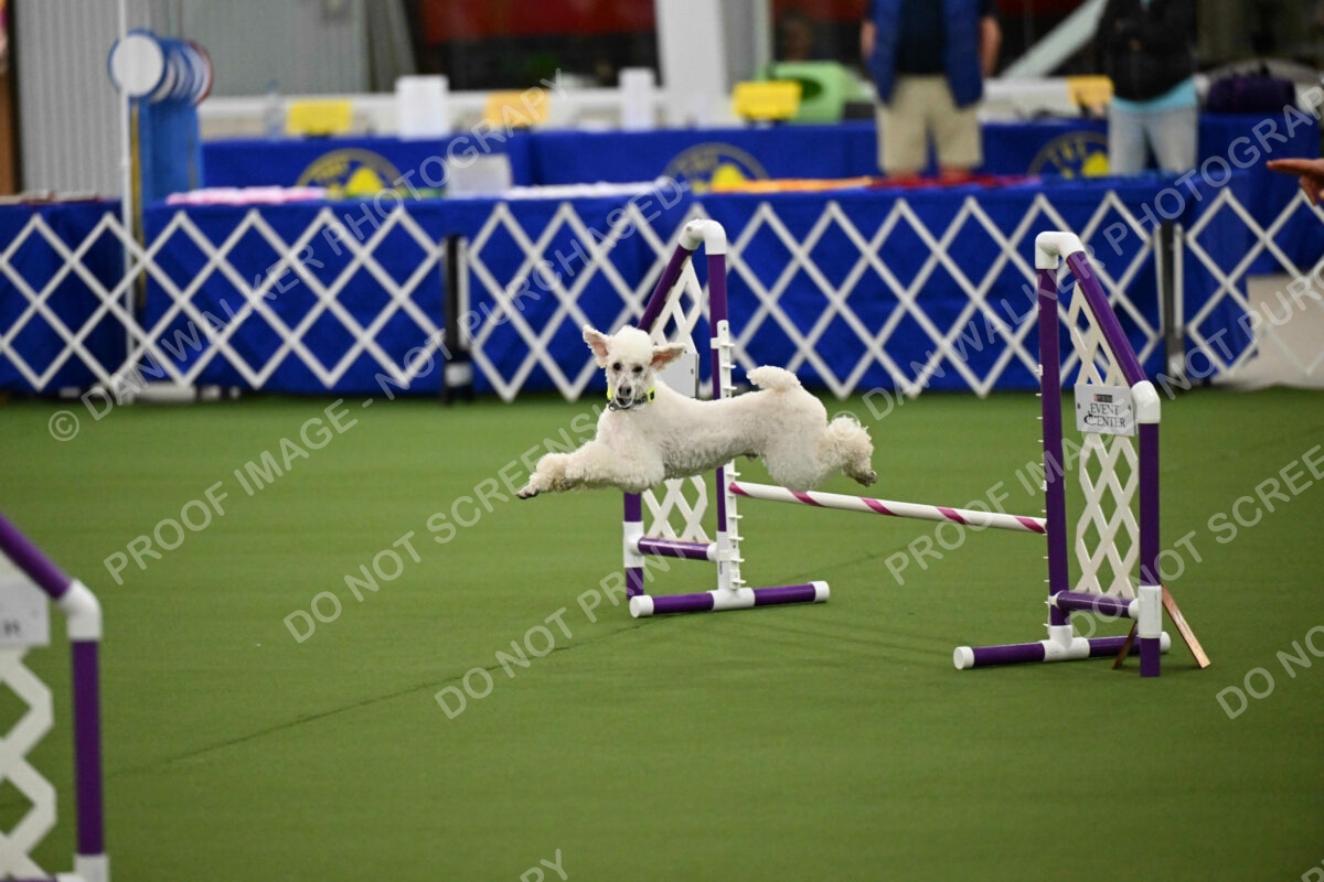 MAS-EX-JWW-12-Inch_1963