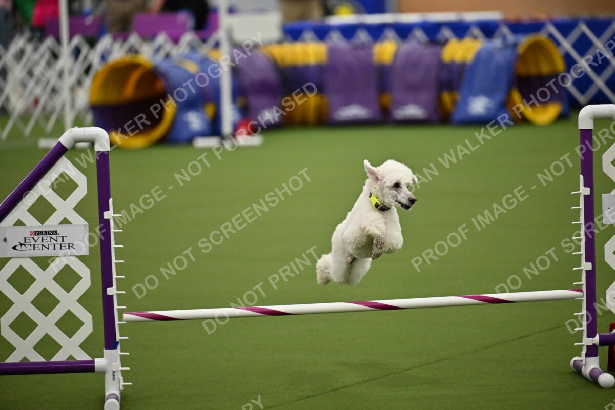 MAS-EX-JWW-12-Inch_1967