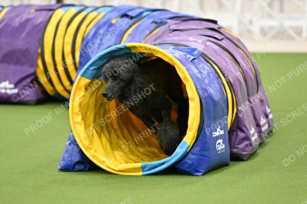 MAS-EX-JWW-20-Inch_2635