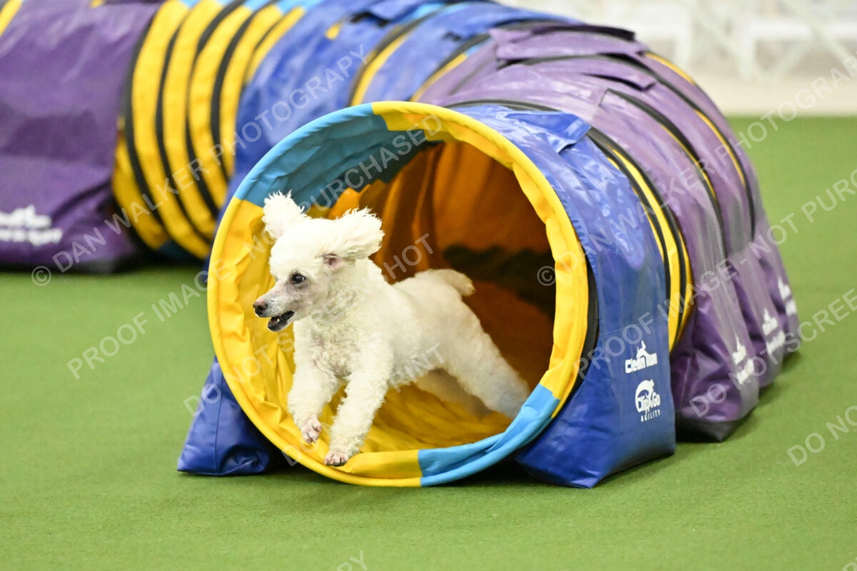 MAS-EX-JWW-4-8-Inch_0577