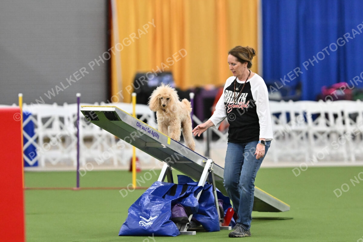 MAS-EX-STD-12-Inch_5757